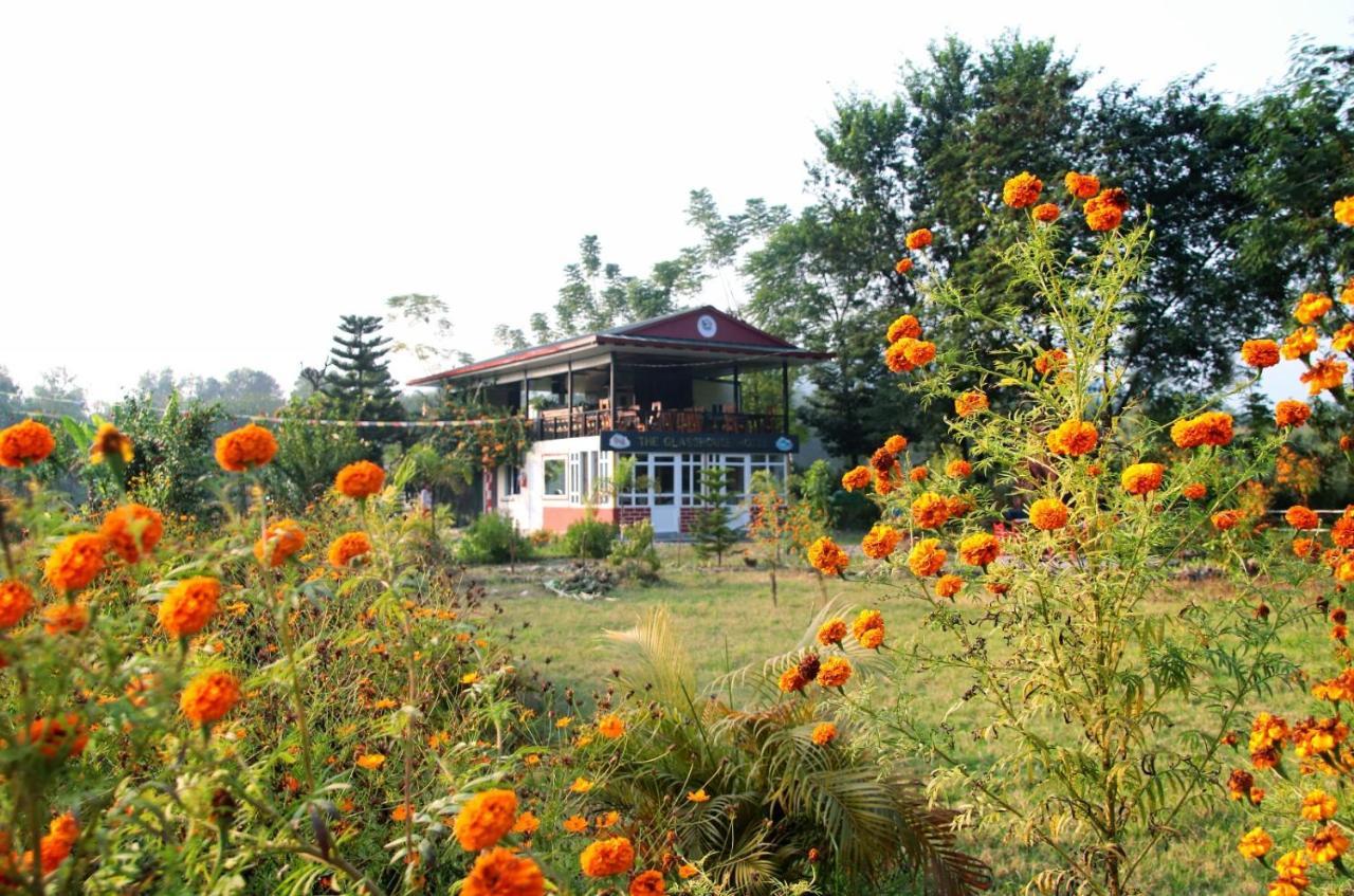 The Glasshouse Hotel Kawasoti Εξωτερικό φωτογραφία